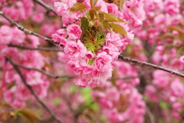 绍兴新昌线下个人借款平台一站式服务，轻松解决资金难题