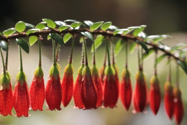 绍兴新昌零用贷短借：轻松解决临时资金需求