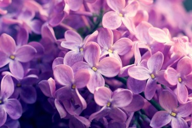 绍兴新昌企业急用钱贷款攻略：快速融资解燃眉之急